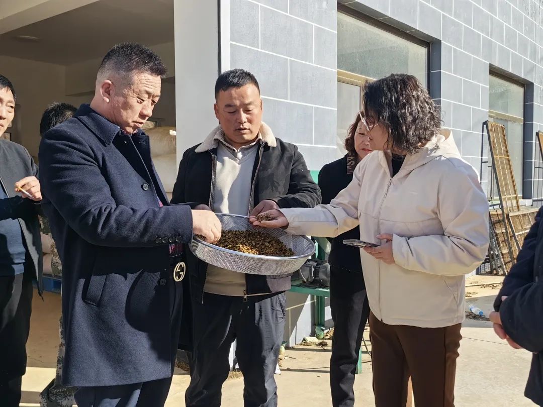 为发展把脉问诊 助产业提质增效 (4).jpg 为发展把脉问诊 助产业提质增效 (4).jpg