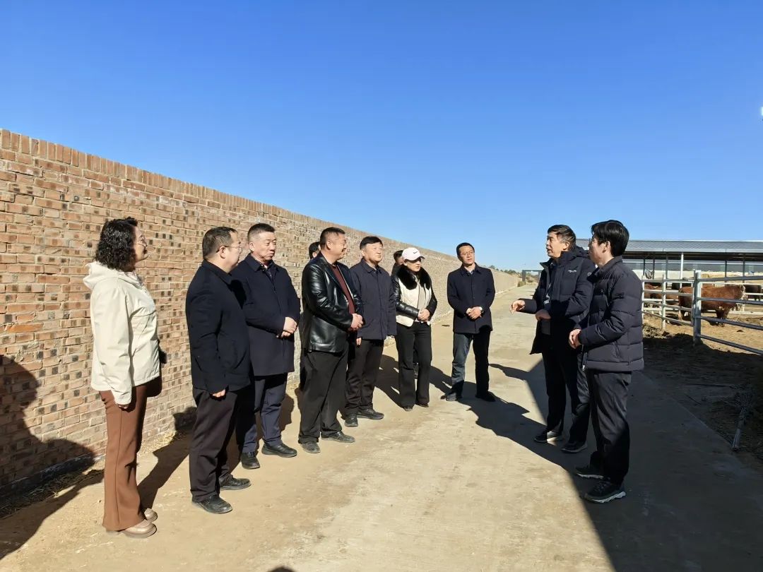 为发展把脉问诊 助产业提质增效 (1).jpg 为发展把脉问诊 助产业提质增效 (1).jpg