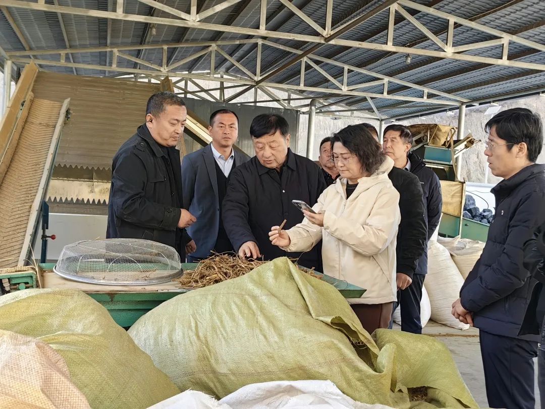 为发展把脉问诊 助产业提质增效 (3).jpg 为发展把脉问诊 助产业提质增效 (3).jpg