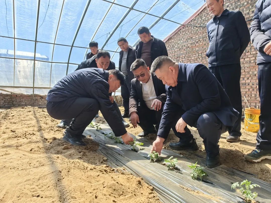 为发展把脉问诊 助产业提质增效 (2).jpg 为发展把脉问诊 助产业提质增效 (2).jpg