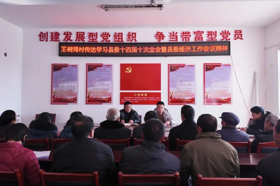 王树湾.jpg