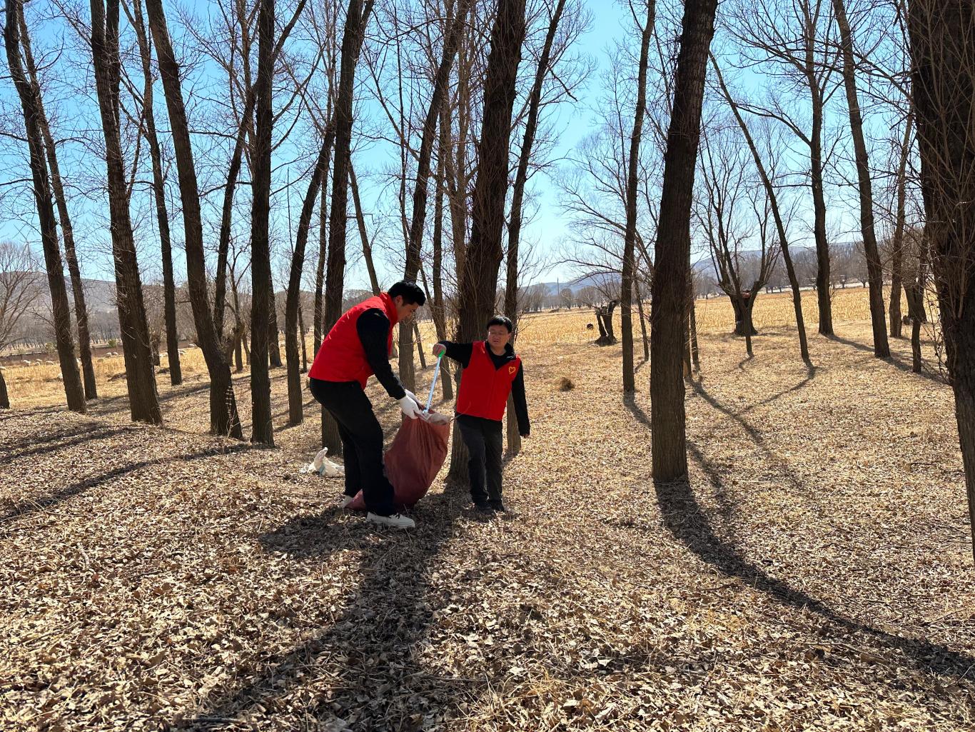 20260313090502823-17-741c9.jpeg_scale.jpeg