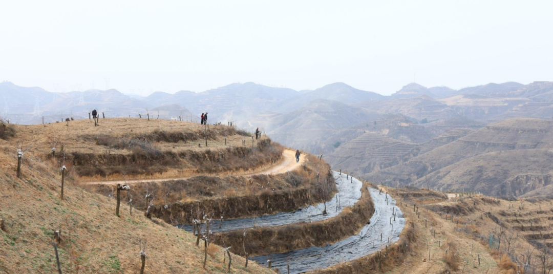 20260327202749566-75-6cc06.png_scale_.png 图片