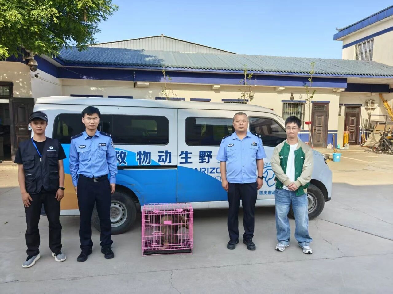 民警及相关人员联合救助野生猪獾